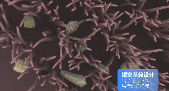 特点7